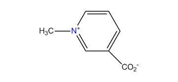 1-Methylpyridinium-3-carboxylate