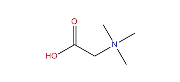 N,N,N-Trimethylglycine