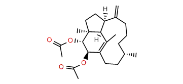 Trinervita-1(15),8(19)-dien-2beta,3alpha,13alpha-triol-2,3,13-O-triacetate