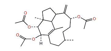 Trinervita-1(15),8(19)-dien-2beta,3alpha,9-triol-2,3,9-O-triacetate