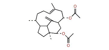 Trinervita-11(12),15(17)-dien-3alpha,13alpha-diol-3,13-O-diacetate