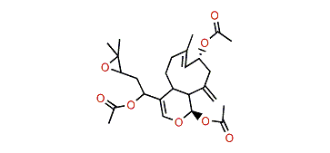 Xeniculin